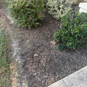 Flower Bed Weeding by No Problem reviewed on August 20, 2026