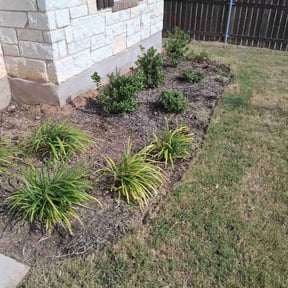 Flower Bed Weeding by Pearl Cleaning LLC reviewed on November 24, 2025