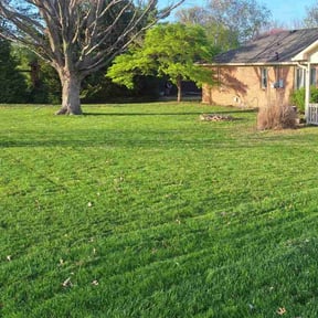 landscaping services by Omni Management Group reviewed on August 18, 2025