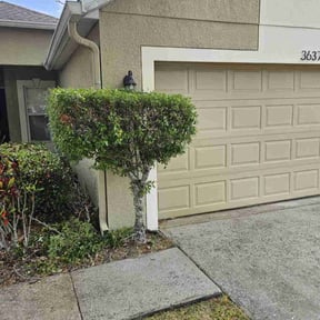Bush Trimming by Awesome Lawns and More LLC reviewed on August 18, 2025