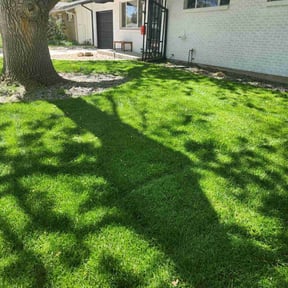 lawn care services by YFC Lawn Care and Maintenance reviewed on August 17, 2025