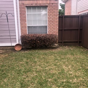 Bush Trimming by M&M Lawn Care reviewed on August 18, 2025