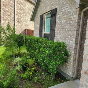 Bush Trimming by DmW Lawn care reviewed on August 17, 2025