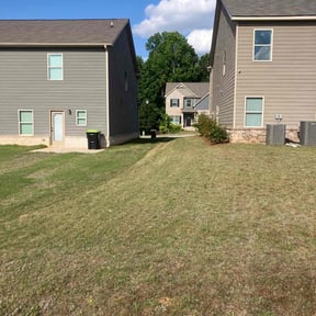 lawn care services by Takemori Handyman Services reviewed on August 16, 2025