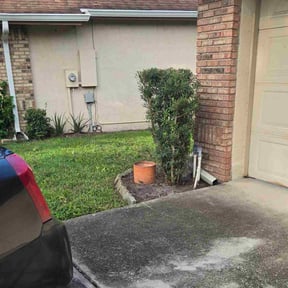 Bush Trimming by Ellis lawn care reviewed on December 17, 2025