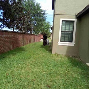 Bush Trimming by Cardinal Curb Appeal reviewed on August 17, 2025