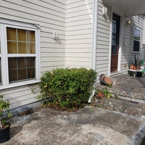 Bush Trimming by CASA Lawn Services reviewed on August 20, 2025