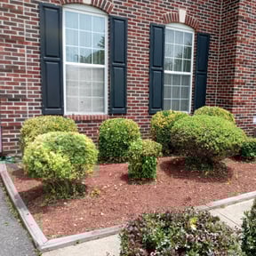 Bush Trimming by C&Z Contracting LLC reviewed on August 19, 2025