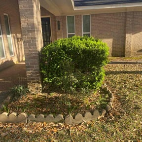 Bush Trimming by Felo Pride lawn services reviewed on August 19, 2025