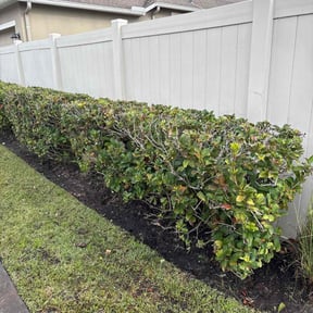 Bush Trimming by Williams Travel &amp; management LLC reviewed on January 7, 2026