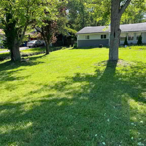 landscaping services by Year Round Yard Works reviewed on August 18, 2025