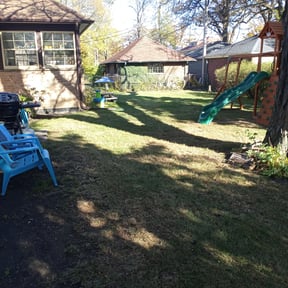 Leaf Removal by Verde Lawn and Property Management reviewed on September 23, 2025