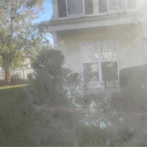 Bush Trimming by Chaneys's FourSeasons Lawn Care reviewed on August 15, 2025