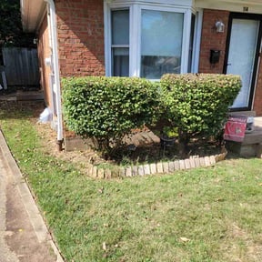 Bush Trimming by The Kadyebo way reviewed on November 5, 2025