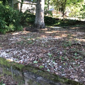 Flower Bed Weeding by Elite Mowers LLC reviewed on August 20, 2025