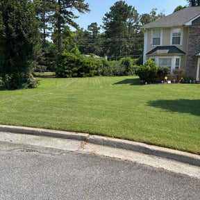 landscaping by Three lawn care reviewed on August 19, 2025