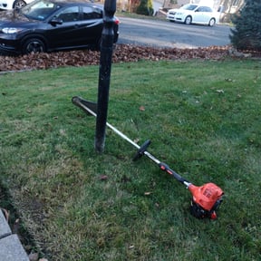 Leaf Removal by Star Landscaping reviewed on September 27, 2025