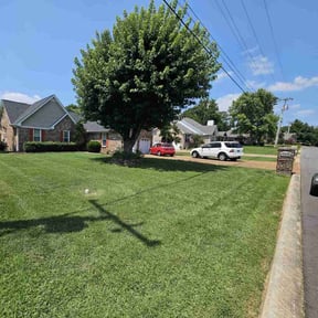 turf maintenance by Turtle Trims reviewed on July 13, 2025