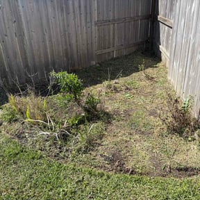 Flower Bed Weeding by Triple "s" services reviewed on March 19, 2026