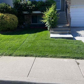 Bush Trimming by Peters Lawn Care reviewed on August 19, 2025
