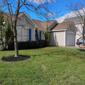 Bush Trimming by Top Notch Lawn Care reviewed on November 19, 2025