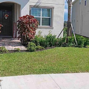 turf care by Epic Lawn Care reviewed on August 18, 2025