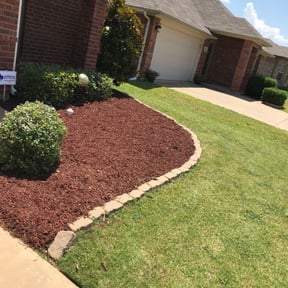 Bush Trimming by Central TX Services reviewed on August 15, 2025