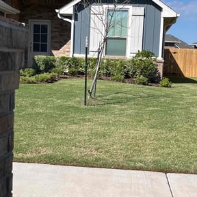 Bush Trimming by L&M landscaping reviewed on August 21, 2025