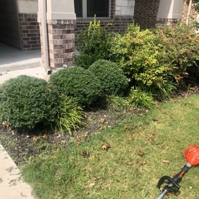 Bush Trimming by Seedy Green Landscaping LLC reviewed on August 16, 2025