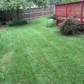 landscaping services by A&E landscaping reviewed on August 20, 2025