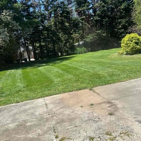 landscaping services by Home Medic reviewed on August 13, 2025