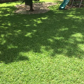 residential landscaping by Farsight services reviewed on August 19, 2025