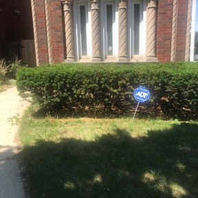 Bush Trimming by Azamar landscaping & construction reviewed on August 17, 2025