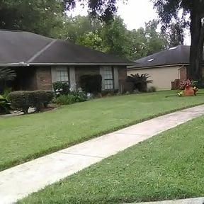 Bush Trimming by 804 Lawn Pros LLC reviewed on August 17, 2025
