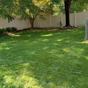 yard work by GVLANDSCAPING reviewed on August 19, 2025