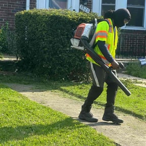 Bush Trimming by NIESHA'S LLC SERVICES reviewed on August 16, 2025