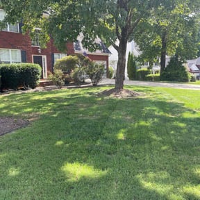 residential landscaping by Robert's Diversified Services reviewed on August 16, 2025