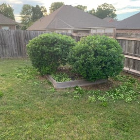 Bush Trimming by KG Lawn Service reviewed on August 15, 2025