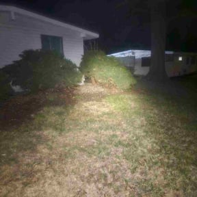 Bush Trimming by Lawn care reviewed on April 13, 2026