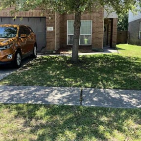 gardening service by Bigdogs Property Maintenance reviewed on August 21, 2025