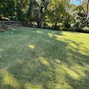 yard care by EV Great Valley Landscaping,LLC. reviewed on August 16, 2025