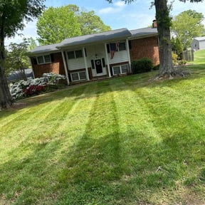 landscaping by mow 4 your money reviewed on August 18, 2025