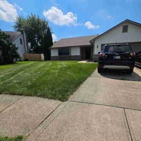 turf maintenance by LV Landscape reviewed on August 20, 2025