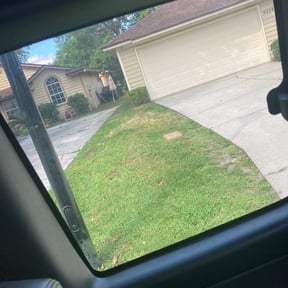 Bush Trimming by Lewis Lawn Service reviewed on November 23, 2025