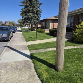 turf maintenance by RodIsBack Solutions reviewed on April 25, 2024