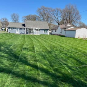 yard care by Love landscaping reviewed on August 18, 2025