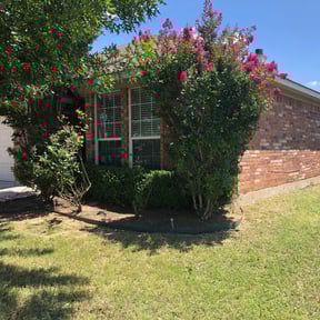 Bush Trimming by Precision Lawn care reviewed on August 16, 2025