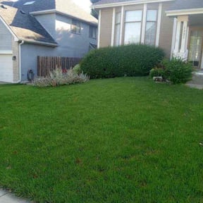 grass cutting by Ransome &amp; Son reviewed on April 11, 2025