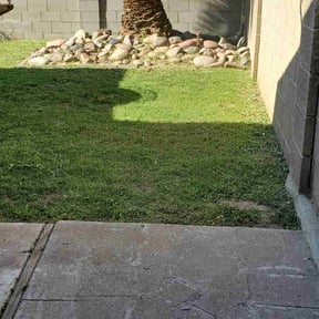 turf maintenance by Fortanel lanscaping reviewed on April 18, 2024
