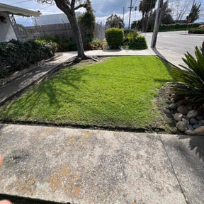 grass maintenance by Lawn Heroes reviewed on April 6, 2025
